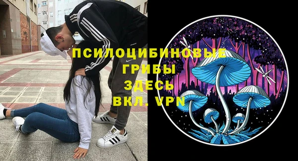ECSTASY Гусев