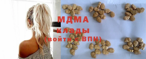 гидра Вязьма