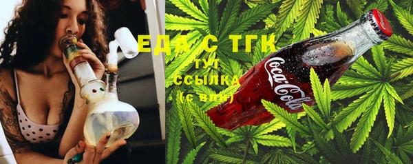 дмт Тавда