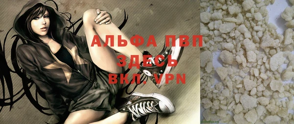 гидра Вязьма