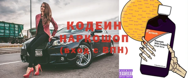 гидра Вязьма